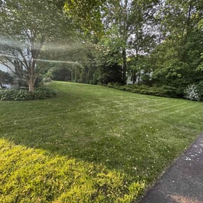 grass maintenance by Ramirez Landscaping&Tree Service reviewed on August 15, 2025