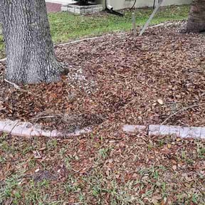 Flower Bed Weeding by Brian The Yard Barber LLC reviewed on May 12, 2026