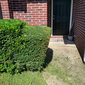 Bush Trimming by RJSSERVICES reviewed on August 17, 2025