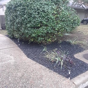 Flower Bed Weeding by TTP Lawn Services reviewed on August 15, 2025