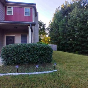 Bush Trimming by Castrolawns reviewed on August 19, 2025