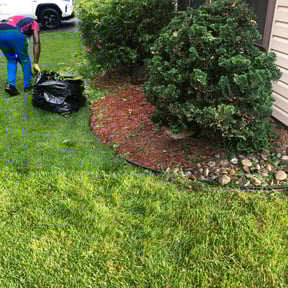 Bush Trimming by Green Horizon Lawn Care LLC. reviewed on August 18, 2025