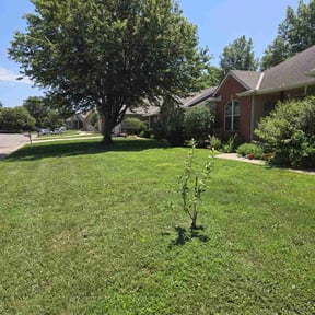 residential landscaping by Great Earth Property Maintenance reviewed on August 17, 2025
