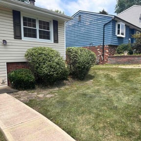 Bush Trimming by Quality Landscaping LLC reviewed on August 18, 2025