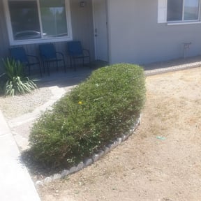 Bush Trimming by All Works Property Management reviewed on August 15, 2025