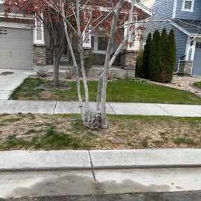 Leaf Removal by Cheryl's Lawncare reviewed on August 2, 2026