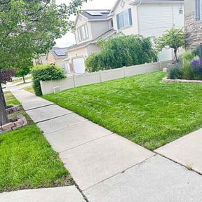 yard work by Gutierrez landscaping and lawn care. reviewed on August 19, 2025