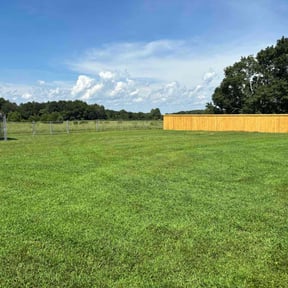yard service by Adams Lawns & More reviewed on August 19, 2025
