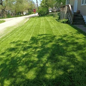 grass maintenance by Green space reviewed on May 19, 2025