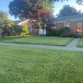 turf maintenance by Williams General Services LLC reviewed on May 12, 2024