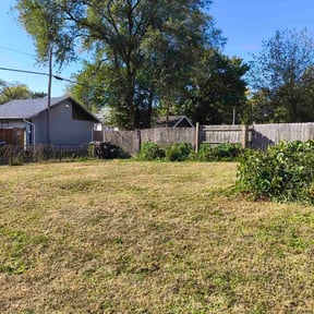 grass cutting by Sinaí Tree and Lawn Care Experts reviewed on April 18, 2024