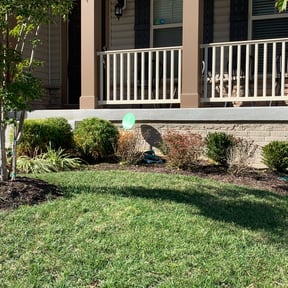 Bush Trimming by Jim's Lawn Service reviewed on August 15, 2025