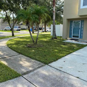 turf maintenance by Patton Lawn Care reviewed on February 5, 2024