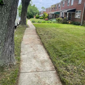 turf care by Paul Landis Dba Pro Turf Landscape and Lawn care reviewed on April 5, 2024