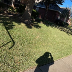 Leaf Removal by J&J Lawn Pros reviewed on August 18, 2025