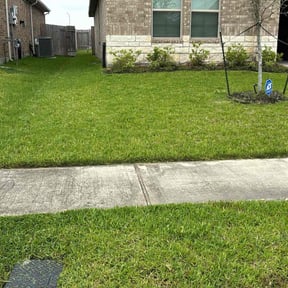 yard work by Leisure lawns reviewed on December 4, 2025