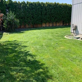 lawn maintenance by Milo’s Lawn &amp; Garden reviewed on May 12, 2025