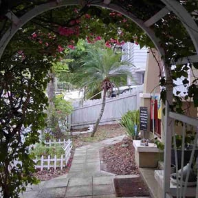 Bush Trimming by Butlers tree &amp; Landscaping reviewed on April 6, 2026