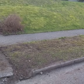 Leaf Removal by Bejonesz77 reviewed on October 3, 2025