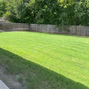 turf maintenance by Triple S Cuts &amp; Cleanouts reviewed on September 11, 2025