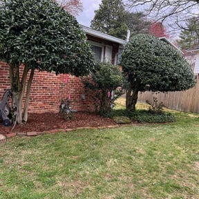 Bush Trimming by Greg's Landscaping reviewed on November 21, 2025