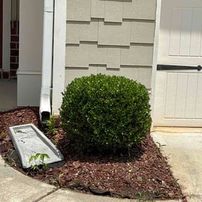 Bush Trimming by Yard Dr. LLC reviewed on July 29, 2026