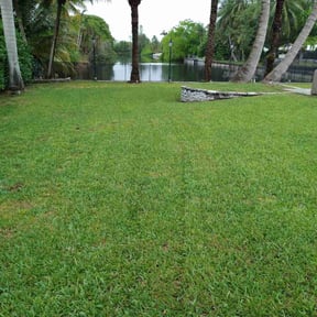 yard maintenance by Tico&#039;s landscaping service reviewed on November 18, 2025