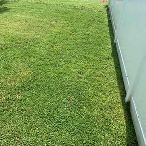 yard care by Nathan Massey reviewed on August 18, 2025