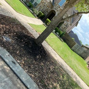 yard care by Keep it cut keep it clean llc reviewed on August 15, 2025