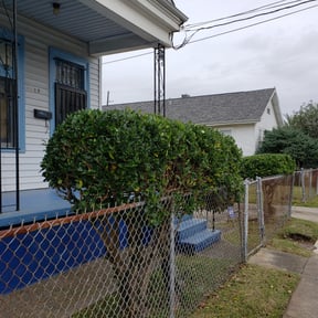 Bush Trimming by Dario’s Landscaping reviewed on August 17, 2025