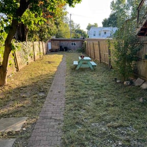 Leaf Removal by Precision Lawn Care of VA reviewed on September 28, 2025