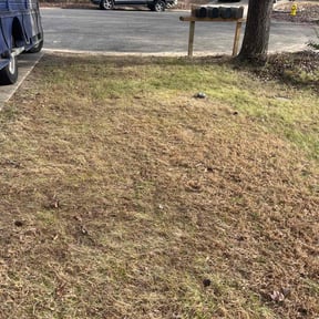 Leaf Removal by Brandon's property care reviewed on December 23, 2025