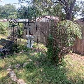 Bush Trimming by TH lawncare reviewed on February 14, 2024