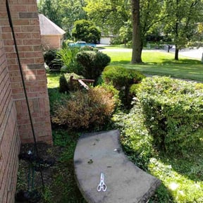 Bush Trimming by S&K Lawn care reviewed on August 15, 2025