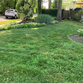 landscaping services by Logan & son contractors reviewed on August 21, 2025