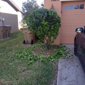 Bush Trimming by Tri Stars landscaping and Snow Services LLC reviewed on August 20, 2025