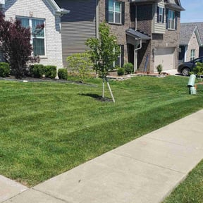 yard maintenance by Vincent Landscaping Corp reviewed on August 16, 2025