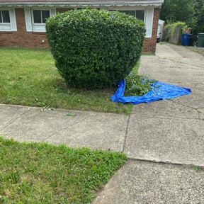 Bush Trimming by Tulsa Lawn Care reviewed on August 20, 2025