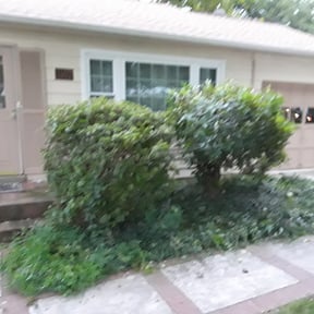 Bush Trimming by Underwood Outdoors reviewed on August 20, 2025