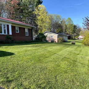 grass maintenance by LR Lawn Care & Landscaping reviewed on May 23, 2025
