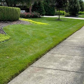 lawn service by Pristine Outdoor Services llc reviewed on May 19, 2025