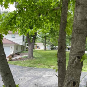 Cleanups by MJ's Lawn Care reviewed on August 19, 2025