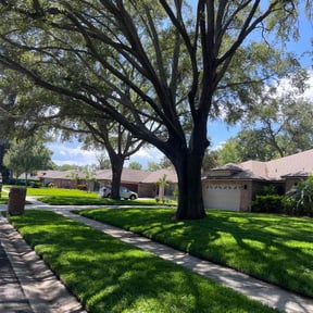 landscaping by RTH Lawn Service & Landscaping LLC reviewed on August 17, 2025