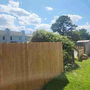 Bush Trimming by B&amp;T Lawn Care reviewed on July 31, 2026