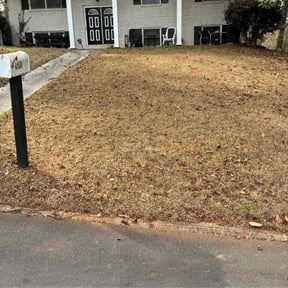 Leaf Removal by Hanahan Lawn Care LLC reviewed on February 1, 2026