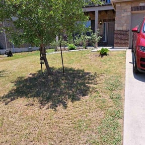 Bush Trimming by Greenscapes Landscaping and Grass Cutting reviewed on August 18, 2025