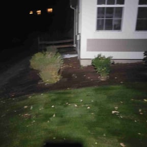 Bush Trimming by J.G.SupremeLandscaping LLC. reviewed on October 18, 2025