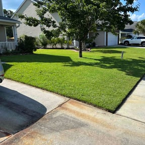 Long Grass Cleanup by Bay Land &amp; Trees Llc. reviewed on November 22, 2025