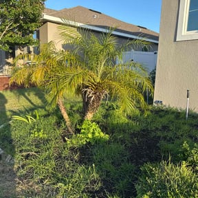 Bush Trimming by Puregrind Landscaping LLC reviewed on August 20, 2025