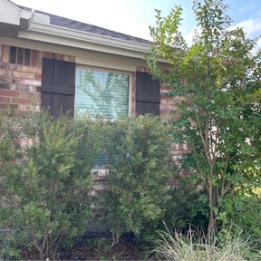 Bush Trimming by Jr Lawns LLC reviewed on November 21, 2025